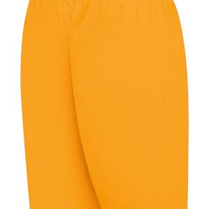 C2 Men's Mesh 9" Shorts